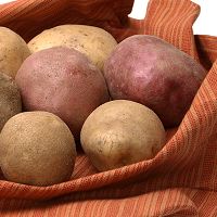 November 6 - Healthy gourmet