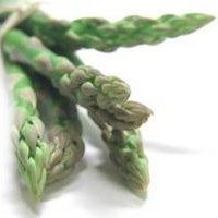 April 11 - Asparagus