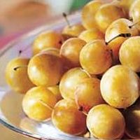 August - Bite in a Mirabelle or Small Yellow Plum
