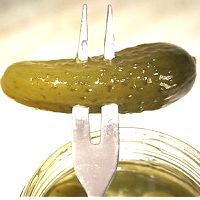 August 12 - Pickles