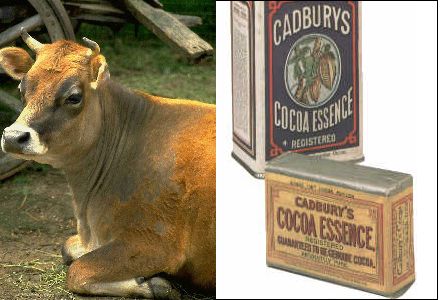 Cocoa in England - John Cadbury's Empire