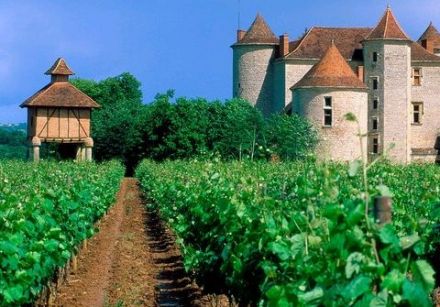 Wines from the South-West - Cahors