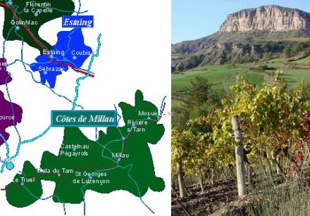 Wines from the South-West - Côtes de Millau