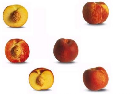 Peaches, Nectarines and Clingstone Nectarines... What's the Difference?