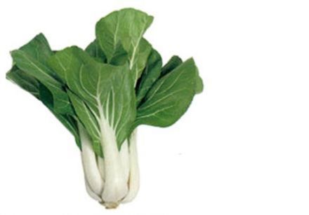 Bok choy, pak choi, or Tatsoï