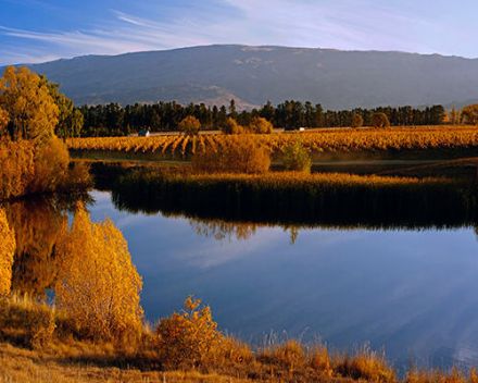 New-Zeland Wines - Central Otago