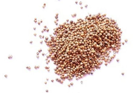 Celery seed