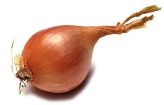 French Shallot