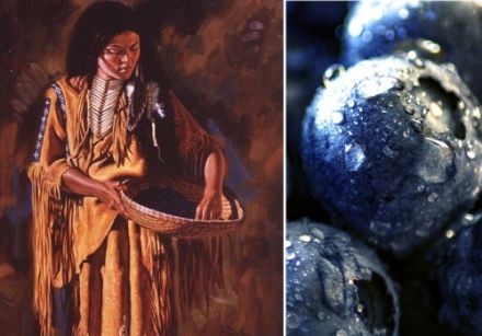 Blueberry and Native Indians