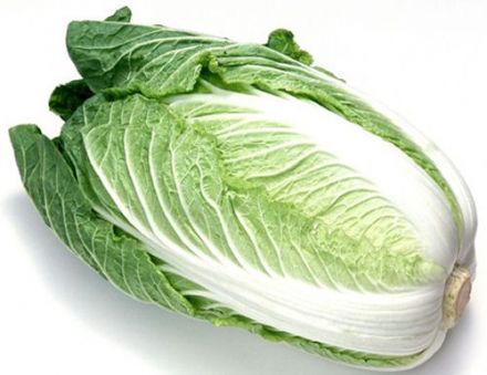 Napa or chinese Cabbage