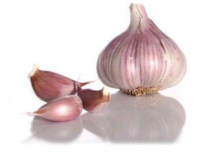 Little story behind garlic