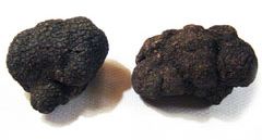 Are truffles aphrodisiac?