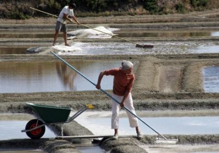 Guerande sea salt 4