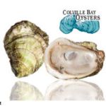 Malpeque and other PEI oysters 2