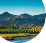 New-Zealand wines - Marlborough 2