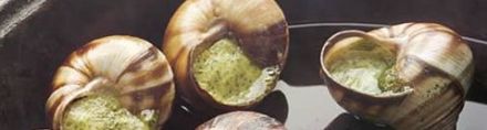 Burgundian Snails, Traditional Version