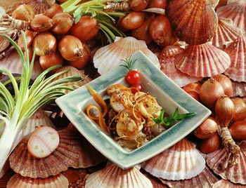 Sautéed Scallops with shallots and fennel cream