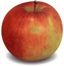 Apple-Berry Tart