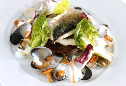 Steamed Sea Bass Fillet with Chanterelles and Shellfish Marinière