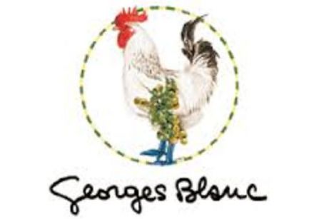 Bresse Chicken Fricassee with Garlic Cloves and Foie Gras