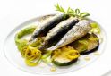 Grilled Sardines with Tomato Sorbet and Parmesan Tuile