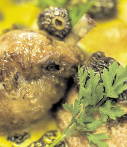 Poached Bresse Chicken with Garden Herbs and Madras Curry Butter