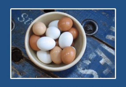 Breton-Style Eggs