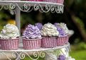 Buttercream cupcakes