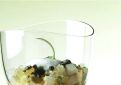 John Dory Tartar and Oysters in March Beer Aspic