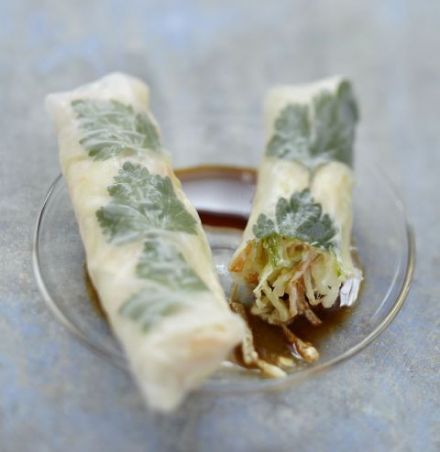 Vegetable Spring Rolls 1