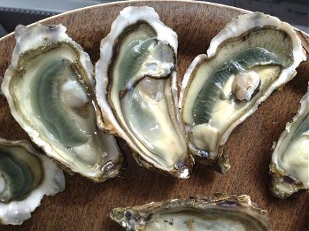 Flavors of Charente Maritime