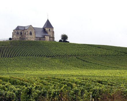 Champagne granted world heritage status by Unesco