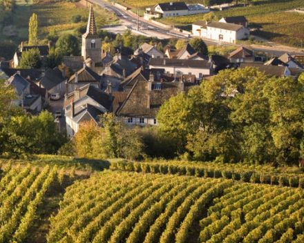 The Climats, terroirs of Burgundy inscribed on UNESCO’s World Heritage List