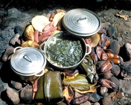 Tahitian Earth Oven – Ahi’i Ma’a