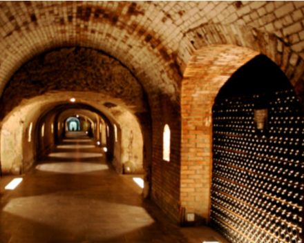 Champagne granted world heritage status by Unesco 2
