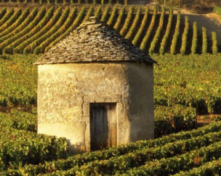 The Climats, terroirs of Burgundy inscribed on UNESCO’s World Heritage List 2