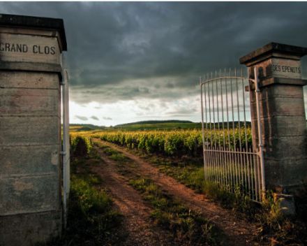 The Climats, terroirs of Burgundy inscribed on UNESCO’s World Heritage List 3